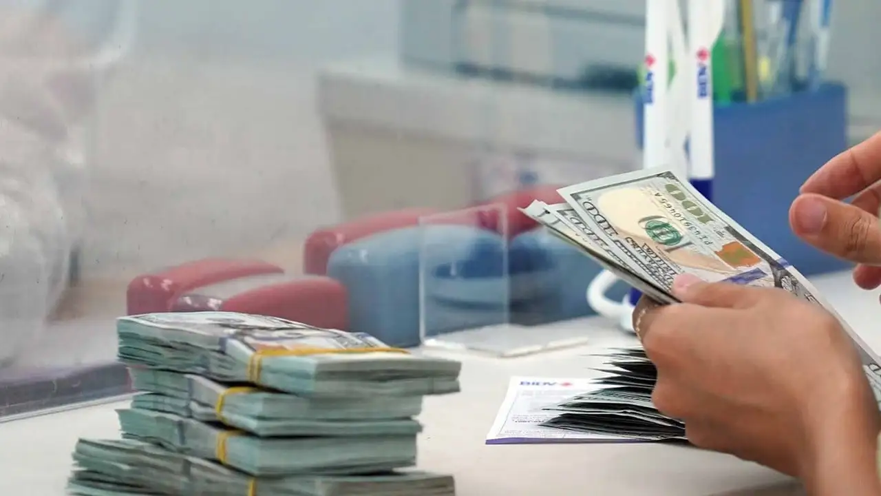 سعر صرف الدولار الأمريكي في حالة انخفاض ملحوظ اليوم